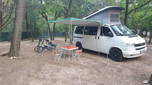 Rino il campeRino – Volkswagen T4 westfalia california