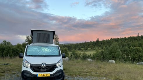 Ollie – 2p Renault bus from 2015