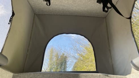 El Grando – Nissan Elgrand campervan 