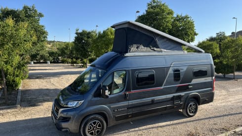 Adria – SuperDeLuxe 4 person Adria CamperVan (2024) in Madrid