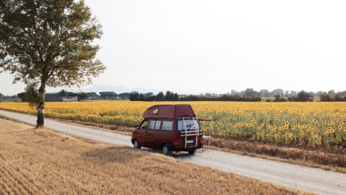 Sol –  T4 Volkswagen Westfalia California & positive vibes