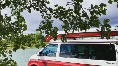 CALI Red/Grey – Volkswagen California Coast Red/Ascot Gray (2022)