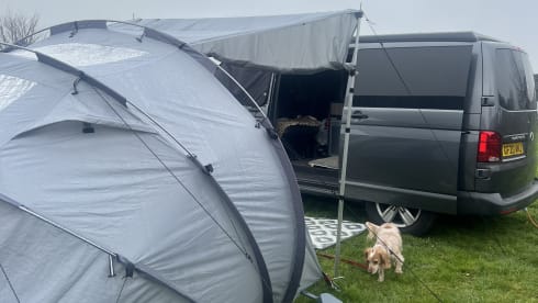 Ted – 4 berth Volkswagen campervan from 2020