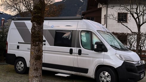 Lama-Mobil 🦙  – Sun Living panel van