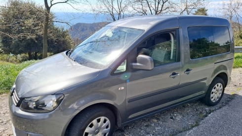 Gray-mouse – Il tuo mezzo per raggiungere la libertà