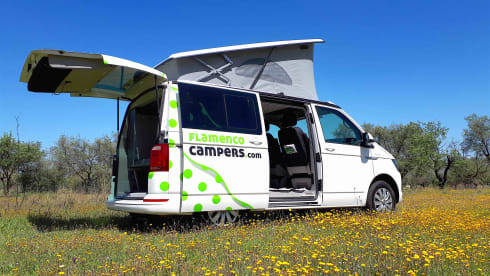"CARMELA" VW T6 CALI BEACH CAMPER – Flamenco Campers, Rent a camper, explore Andalusia.