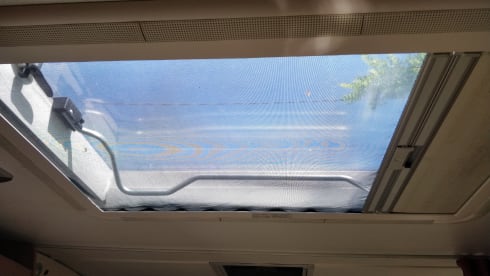 Liberty – Pet Friendly ❤️