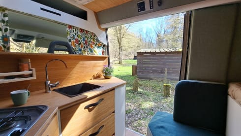 2p Fiat bus from 2020