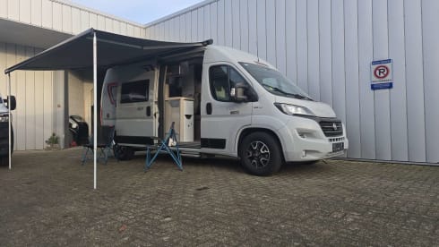 The nardo grey lander  – 2p Carado bus from 2019