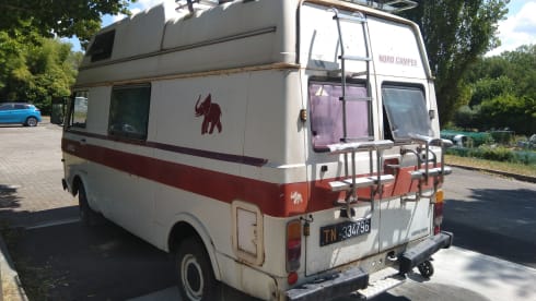 VanNino – A unique experience and a dive into the past? VanNino!