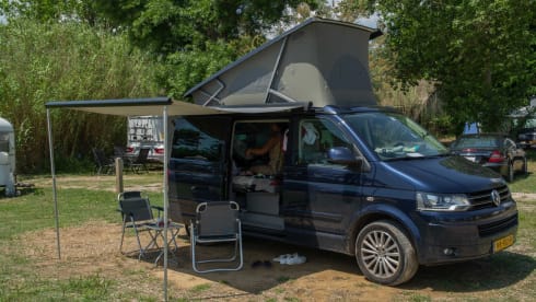 4p Volkswagen bus from 2013