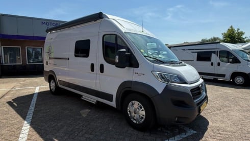 4p Hymer bus uit 2019