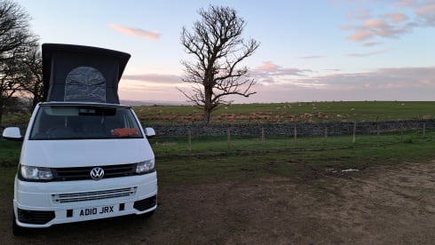 Transporter-Saurus-Rex – Transporter-Saurus-Rex... a 4 berth Volkswagen campervan from 2010
