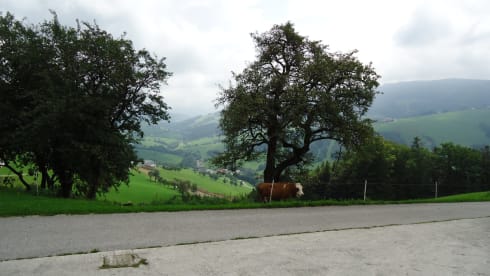 Pandabeer. – Camping-car familial unique et paisible pour 4 personnes