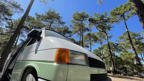 July – Cool fresh retro VW T4