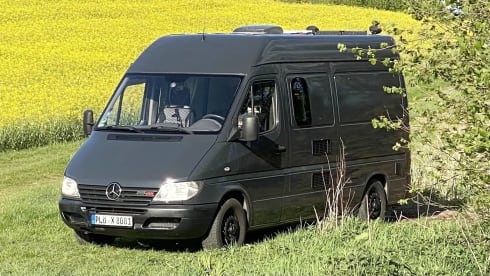 Ernst The Van – Ein gemütlicher Oldie