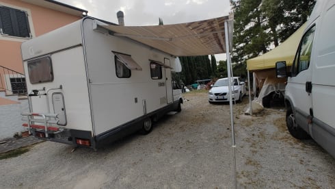 ZEFIRO – ATTIC FORD TRANSIT