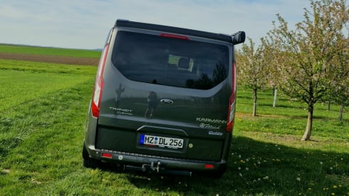 Ford Karmann Duncan 545