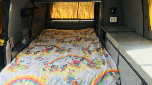“De Dromedaris” –  VW T4 Multivan raised