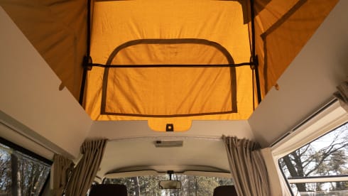 ALLIE – Volkswagen T3