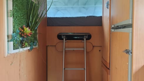 Superruime gezinscamper – 5p Elnagh Marlin 64 Alcove from 2001