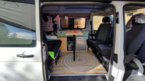 Shenkie – 2p Volkswagen campervan from 2015