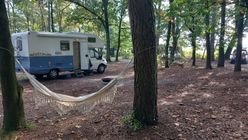 Geheel gerenoveerde camper met retro look. – Heidehut - 4 persoons alkoof-camper 