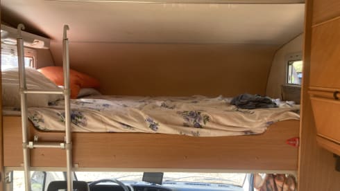 Giorgio Menozzi – Prof.