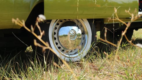 Sanseveria – Volkswagen T2b Westfalia Berlin '77