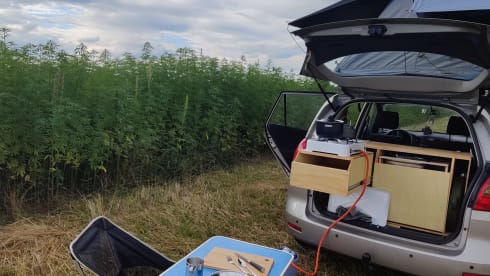 Toto – Micro Camper mit Dachzelt und Küchenbox