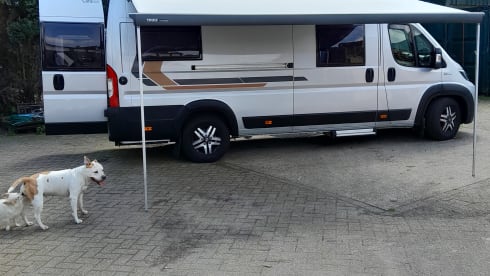 3p Fiat bus from 2020
