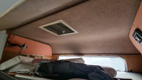 SimoClaCriGinny – Ford Transit Laika