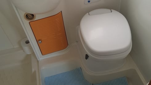 Nasenbär – old lady