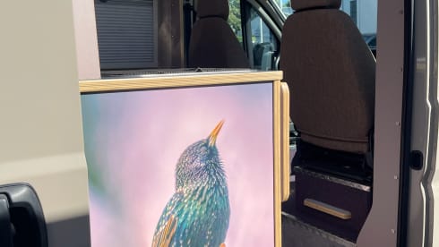 Vogelvlucht – 2p Fiat bus uit 2021