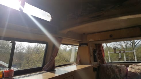 Frieda – Frieda the Automatic VW T25 Campervan