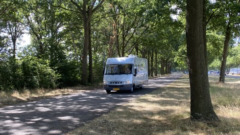 Honden welkom / PET friendly! – Spacious 5P family camper | Fixed & pull-down bed, air conditioning, automatic, pets welcome.