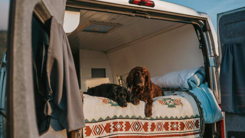 Rocky – Peugeot Boxer Campervan - Snowdonia