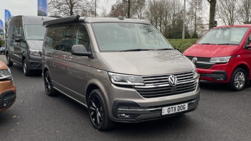 Oti – 4 berth Volkswagen campervan from 2022