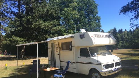 Tough characterful oldtimer