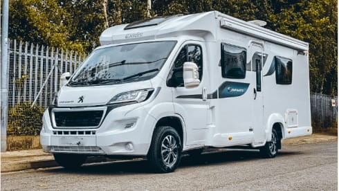 Polly – Polly – Your Ticket to the Adventure of a Lifetime!