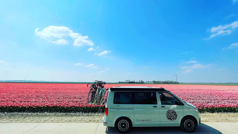 VOLKSWAGEN CALIFORNIA COAST dec2020