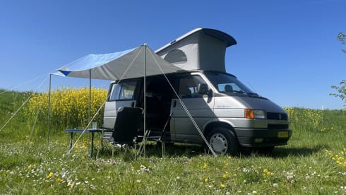 Fifty Shades –  Camping-car Volkswagen T4 California (4 personnes)