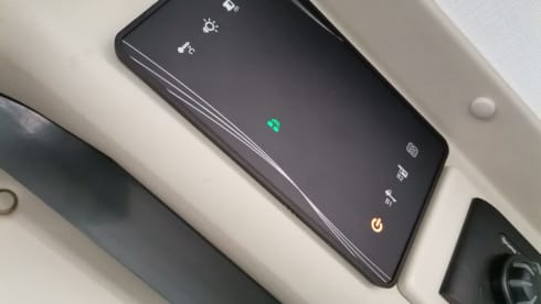 Petunia – The freedom to live in all the wonderful places.