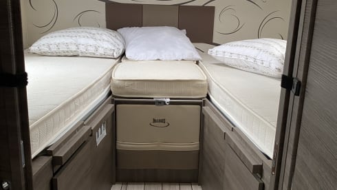 5p McLouis integrated from 2021