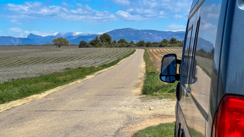 Freddy – Freddy | Abenteuer-Camper für 4 Personen • kompakt, komplett ausgestattet & autark.