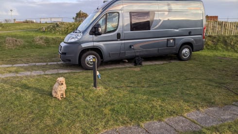 Weinsberg Bus camper of 6m for 2 people