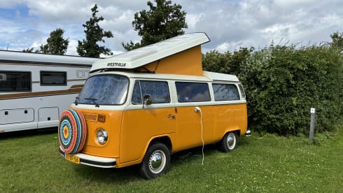 Explore the Veluwe in retro style