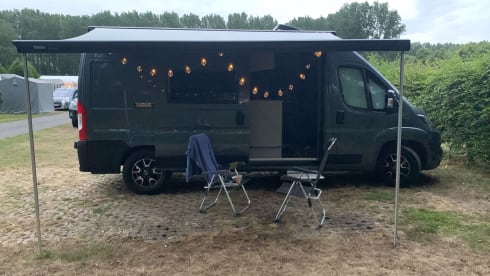 Suzy – 4p Fiat bus from 2020