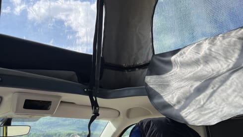 Sunny – Noleggio camper di lusso VW. Con sede a Glasgow, Scozia. 