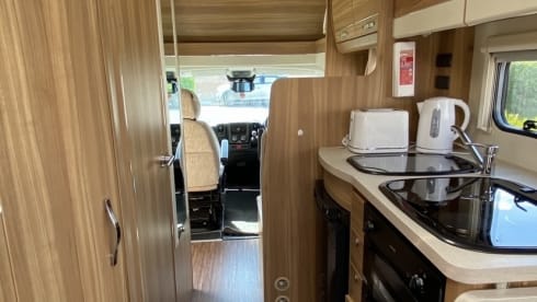 Gracie – 4-Bett Marquis Eldiss Majestic von 2014